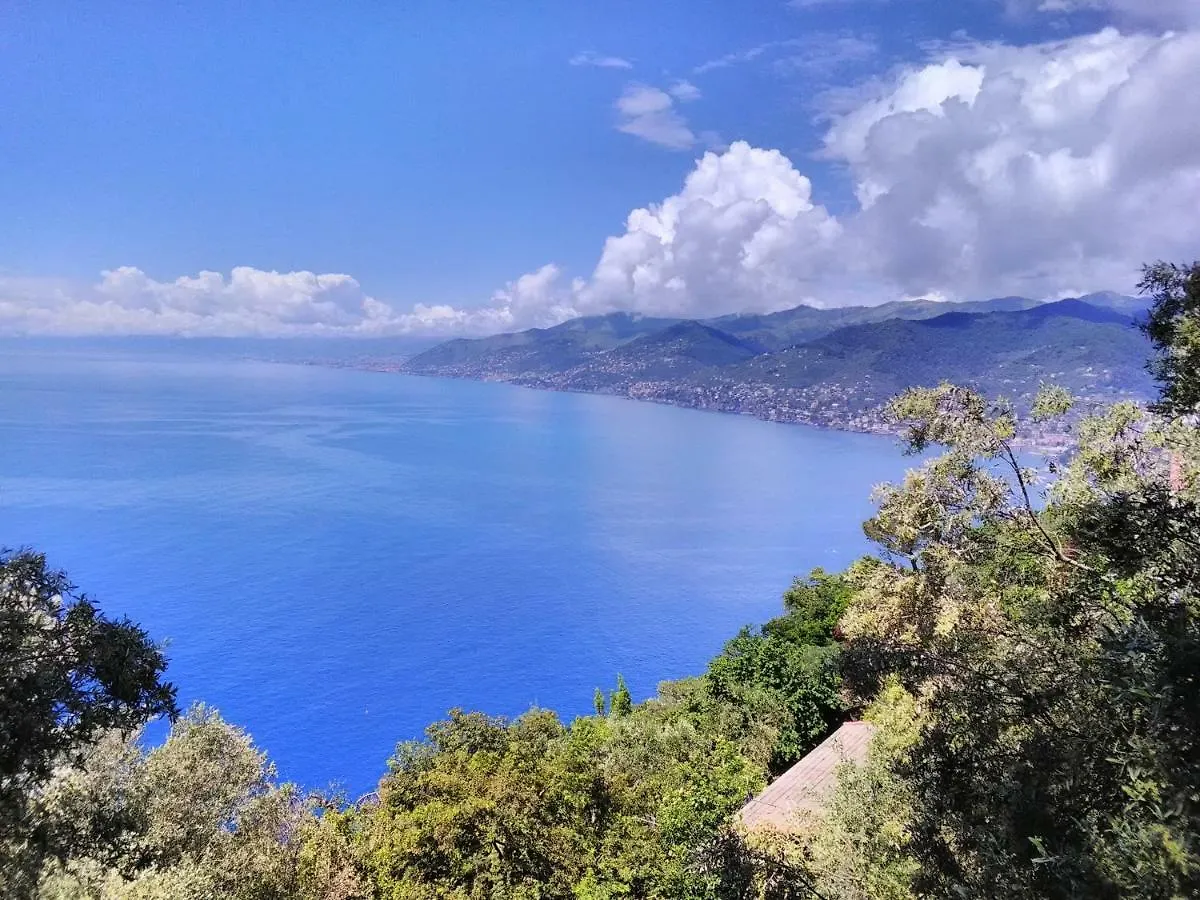 Villa Olivari - Apt La Lavanda Camogli Appartement